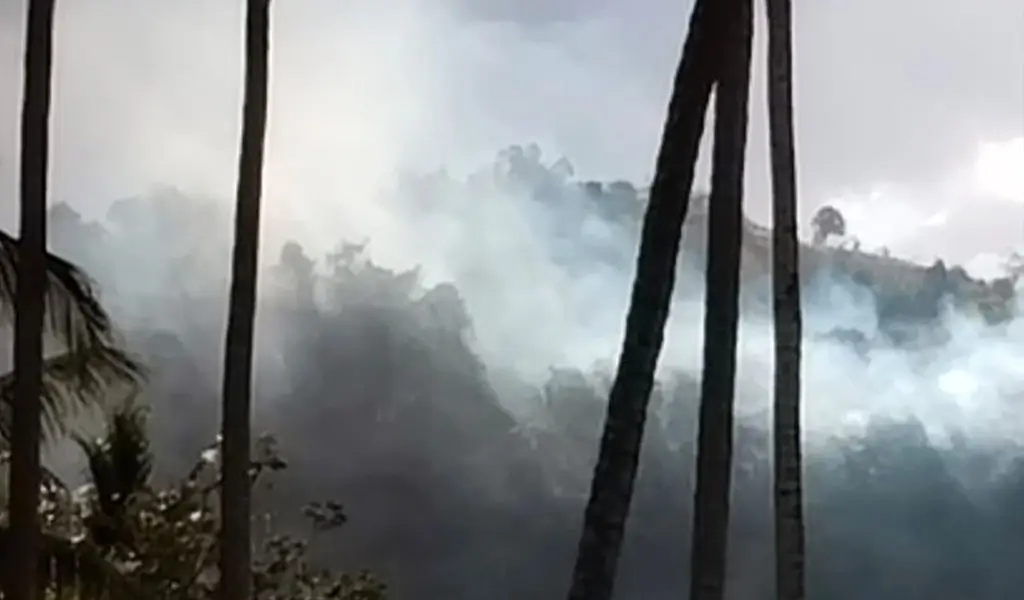 Kepulan asap akibat kebakaran hutan di Desa Avolua, Parimo, Mingu (1/2/2026). (©Humas Polres Parimo)