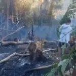 Sejumlah warga berada di dekat pepohonan bekas terbakar di Desa Sakinah Jaya, Parigi Utara, Kamis (5/2/2026). (©Polres Parimo)