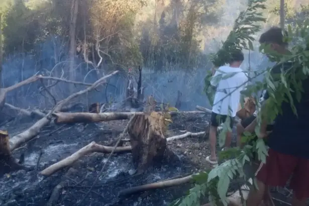 Sejumlah warga berada di dekat pepohonan bekas terbakar di Desa Sakinah Jaya, Parigi Utara, Kamis (5/2/2026). (©Polres Parimo)