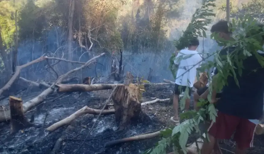 Sejumlah warga berada di dekat pepohonan bekas terbakar di Desa Sakinah Jaya, Parigi Utara, Kamis (5/2/2026). (©Polres Parimo)