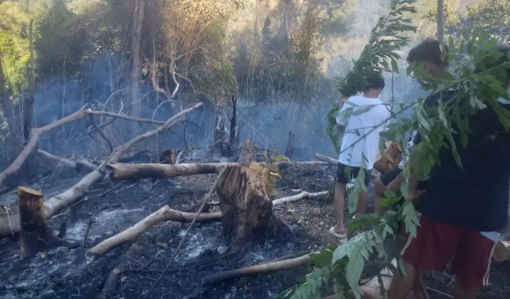 Sejumlah warga berada di dekat pepohonan bekas terbakar di Desa Sakinah Jaya, Parigi Utara, Kamis (5/2/2026). (©Polres Parimo)