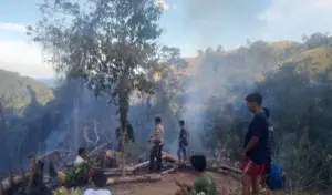 Kebakaran Lahan di Parimo Meluas Ke Sakinah Jaya dan Towera