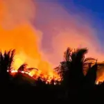 Kebakaran hutan di gunung Desa Avolia, Parimo, Senin (2/2/2026). (©FB/Yustin R Liang)