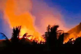 Kebakaran hutan di gunung Desa Avolia, Parimo, Senin (2/2/2026). (©FB/Yustin R Liang)