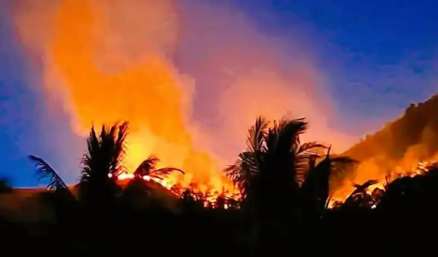 Kebakaran hutan di gunung Desa Avolia, Parimo, Senin (2/2/2026). (©FB/Yustin R Liang)