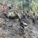 Sejumlah prsonel Polres Parimo turun tangan membantu memadamkan kebakaran lahan di Desa Uwevolo, Parimo, Jumat (6/2/2026) (©Humas Polres Parimo)