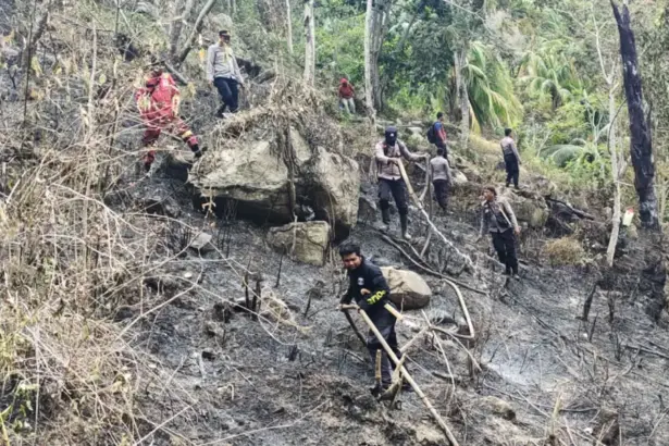 Sejumlah prsonel Polres Parimo turun tangan membantu memadamkan kebakaran lahan di Desa Uwevolo, Parimo, Jumat (6/2/2026) (©Humas Polres Parimo)