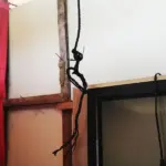 Gantungan tali tempat ditemukannya KA di Desa Siniu, Parimo, Sabtu (14/2/2026). (©Humas Polres Parimo)