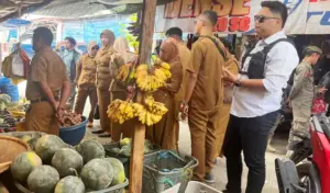 Bapanas dan Polres Parimo Temukan Minyak Kita Dijual d Atas HET