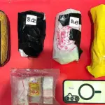 Babuk yang berhasil disita dari tersangka ARI di Mapolresta Palu, Jumat (20/2/2026). (©Humas Polresta Palu)