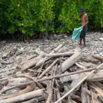 Warga mencari palstik yang bernilai ekonomi di antara tumpukan sampah laut kiriman di Pantai Dupa, Teluk Palu, Sabtu (7/2/2026). (©bmzIMAGES/Basri Marzuki)