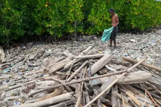 Warga mencari palstik yang bernilai ekonomi di antara tumpukan sampah laut kiriman di Pantai Dupa, Teluk Palu, Sabtu (7/2/2026). (©bmzIMAGES/Basri Marzuki)