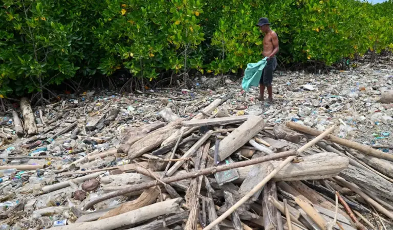 Warga mencari palstik yang bernilai ekonomi di antara tumpukan sampah laut kiriman di Pantai Dupa, Teluk Palu, Sabtu (7/2/2026). (©bmzIMAGES/Basri Marzuki)