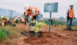 PT Vale Gelar Mining Tour untuk Pemerintah Desa dan Kecamatan di Morowali