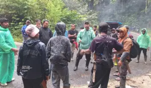 Pencari Getah Damar yang Hilang di Hutan Hae Poso Ditemukan Selamat