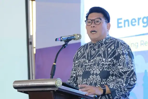Chief Executive Officer IESR, Fabby Tumiwa. (©IESR)