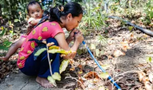 PBB: Perempuan Tanggung Beban Terbesar Krisis Air Global