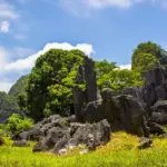 Taman Nasional Bantimurung Bulusaraung di Sulawesi Selatan, rumah bagi kawasan karst terbesar kedua di dunia. (©️Balai Taman Nasional Bantimurung Bulusaraung)