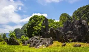 Kemenhut dan FAO Luncurkan Proyek Rp74,6 M Kendalikan Spesies Invasif di Indonesia