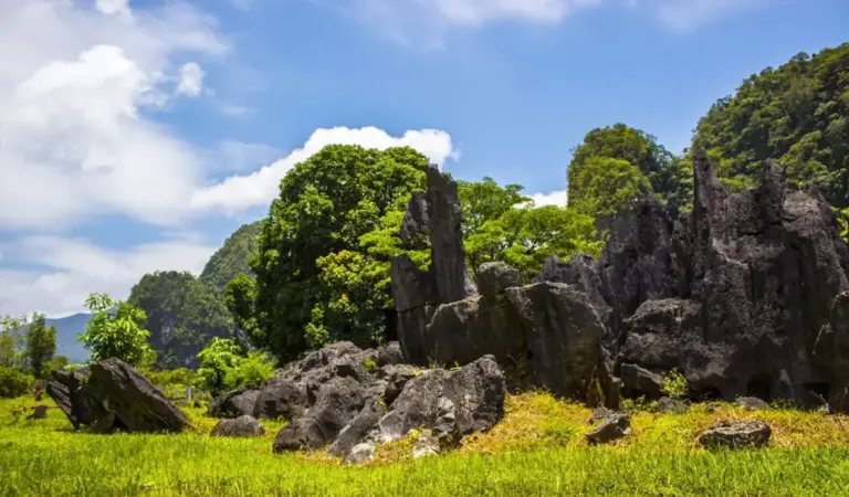 Kemenhut dan FAO Luncurkan Proyek Rp74,6 M Kendalikan Spesies Invasif di Indonesia