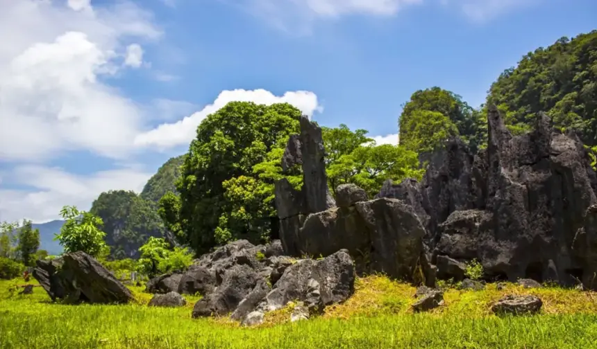 Taman Nasional Bantimurung Bulusaraung di Sulawesi Selatan, rumah bagi kawasan karst terbesar kedua di dunia. (©️Balai Taman Nasional Bantimurung Bulusaraung)