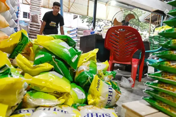 Ilustrasi (©bmzIMAGES/Basri Marzuki)