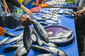 Warga membeli ikan cakalang di Pasar inpres Manonda, Selasa (24/3/2026). (©bmzIMAGES/Basri Marzuki)