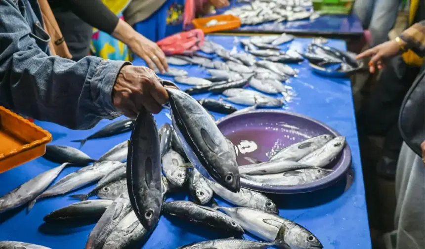 Warga membeli ikan cakalang di Pasar inpres Manonda, Selasa (24/3/2026). (©bmzIMAGES/Basri Marzuki)