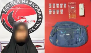 Perempuan 59 Tahun Ditangkap Polisi, Simpan 9 Paket Sabu