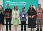 Dari kiri ke kanan: Kepala Perwakilan UNDP di Indonesia Sara Ferrer Olivella, Perwakilan FAO di Indonesia dan Timor-Leste Rajendra Aryal, Kepala Perwakilan PBB di Indonesia Gita Sabharwal, Deputi Bidang Pangan, Sumber Daya Alam, dan Lingkungan Hidup Kementerian Perencanaan Pembangunan Nasional (Bappenas) Leonardo A. A. Teguh Sambodo, Duta Besar Irlandia untuk Indonesia dan ASEAN Sharon Lennon, dan On-Granting Mechanism Specialist Bayu Rahmawan dalam peluncuran program bersama 'Leveraging Finance to Scale Up Climate-Resilient Food Systems', Kamis (9/4/2026) di Gedung Bappenas, Jakarta. (©UN/Medina Basaib)