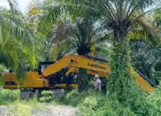 Salah satu dari 7 alat berat yang disita Polda Sulteng di Parimo. (©Humas Polda Sulteng)