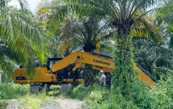 Polda Sulteng Sita 7 Alat Berat dari Aktivitas PETI di Parigi Moutong