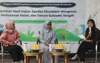 Hanya 18,7 Persen Vegetasi Mangrove Oncone Raya Tersisa