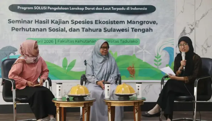 Hanya 18,7 Persen Vegetasi Mangrove Oncone Raya Tersisa
