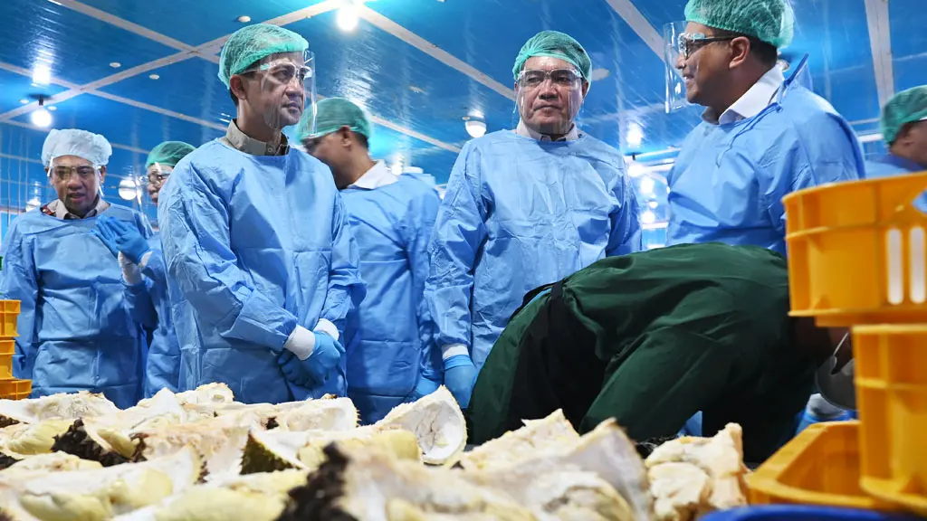 Kepala Barantin Sahat M. Panggabean berdialog dengan Menteri Transmigrasi saat meninjau packng house PT Duco Food Indonesia dalam rangka pelepasana ekspor durian beku ke Tiongkok, Kamis (16/4/2026). (©bmzIMAGES/Basri Marzuki)
