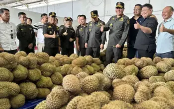 Badan Karantina Indonesia Tinjau Persiapan Ekspor Durian ke Tiongkok