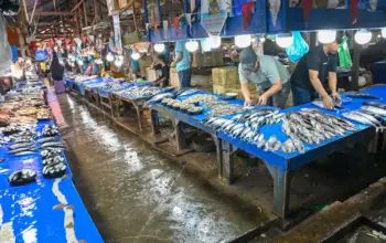 Pedagang menata ikan yang dijualnya di Pasar Manonda Palu, Kamis (2/4/2026). (©bmzIMAGES/Basri Marzuki)