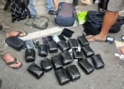 Barang bukti yang disita polisi di Bandara Mutiara SIs Aljufri Palu, Minggu (26/4/2026). (©Humas Polda Sulteng)