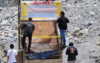 Polda Sulteng Gelar Operasi Penertiban Pertambangan Ilegal di Parigi Moutong