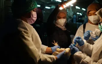 WHO Apresiasi Keberhasilan Indonesia Tekan Risiko Penyakit Zoonosis