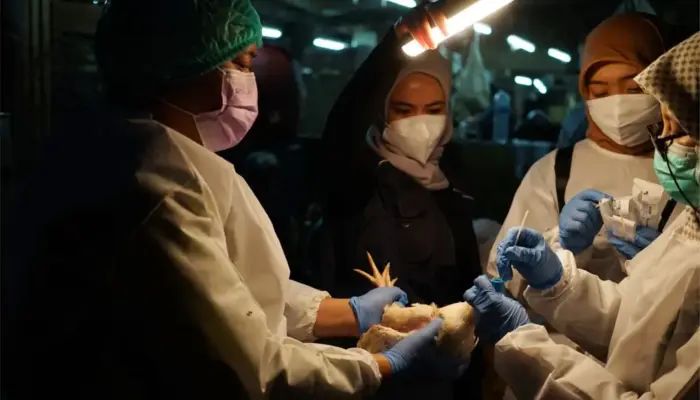 WHO Apresiasi Keberhasilan Indonesia Tekan Risiko Penyakit Zoonosis