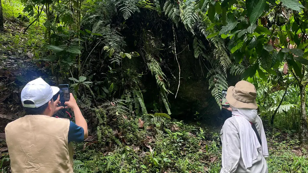 Periset BRIN mengambl gambar pohon dan watu depala, batu yang tidak boleh dipindah karena penahan tanah di kawasan Katuvua, Desa Toro. (©Tim Peneliti BRIN)