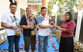 DLH Kota Palu Distribusikan Daging Kurban dengan Kamboti