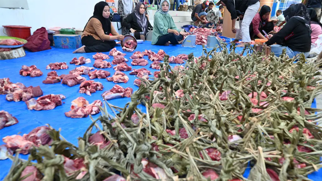 Petugas menata daging kurban yang dikemas dengan kamboti di Kantor Dinas Lingkungan Hidup Kota Palu, Sulawesi Tengah, Kamis (28/5/2026). (©bmzIMAGES/Basri Marzuki)