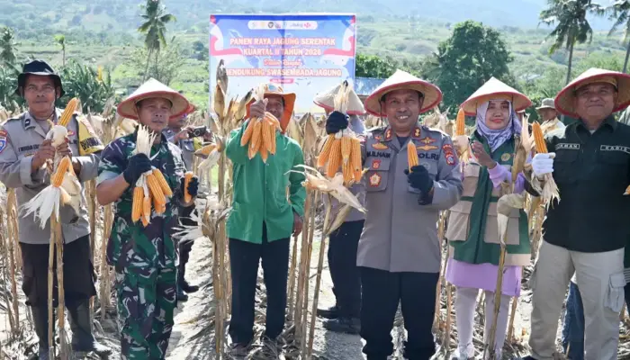 Polresta Palu Panen Jagung di Lahan Binaan Kelurahan Duyu