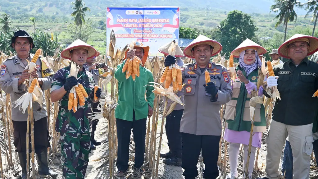 Plt Wakapolresta Palu AKBP M Ilham (ketiga kanan) bersama Perwakilan Dandim 1306/KP, dan Kadis Pertanian Kota Palu Lukman (kanan) pada panen jagung serentak di Kelurahan Duyu, Palu, Sabtu (16/5/2026). (© bmzIMAGES/Basri Marzuki)