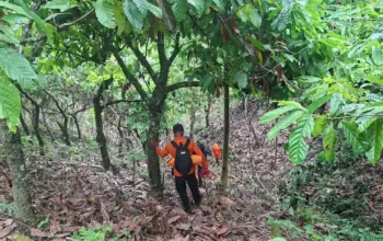 Operasi SAR Pencarian Lansia Hilang di Sojol Donggala Dihentikan
