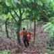 Operasi SAR Pencarian Lansia Hilang di Sojol Donggala Dihentikan
