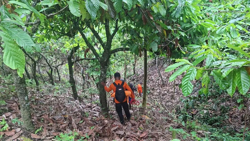 Upaya pencarian lansia yang dilaporkan hilang di perkebunan Sojol Donggala. (©Basarnas Palu)