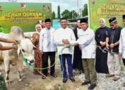 Pangdam XXIII/Palaka Wira menyerahkan sapi kurban kepada perwakilan warga, Rabu (27/5/2026). (©Pendam 23/pw)